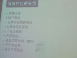 软件学院成功举办“软件服务外包发展趋势与网络技术服务创新”专题讲座