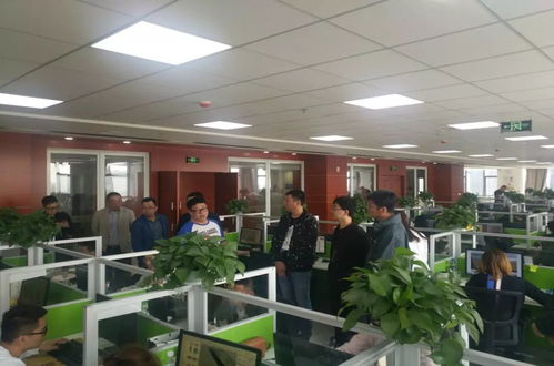 实时掌握项目脉搏 软件外包服务的动态跟踪与管理